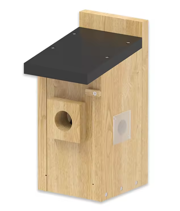 NISTFREUND™ - Smarter solarbetriebener Nistkasten mit hochauflösender Kamera - Vogelfreund