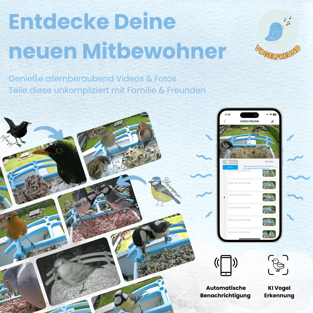 VOGELFREUND™ - Smartes KI-Vogelfutterhaus mit hochauflösender Kamera (Kopie) - Vogelfreund